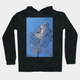 Leaf Skeleton Hoodie